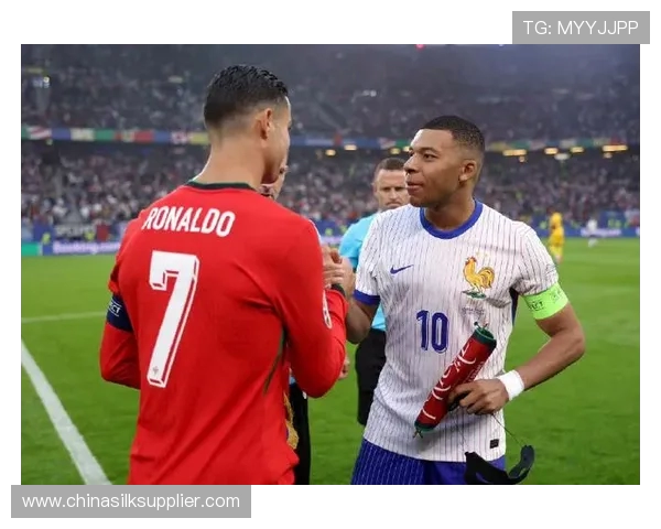 2020年法国与葡萄牙足球对决回顾及精彩瞬间分析