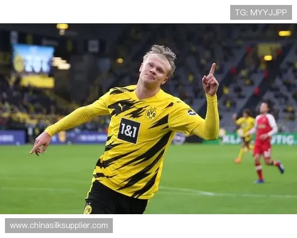 挪威对阵塞尔维亚哈兰德因伤缺阵球队前景堪忧