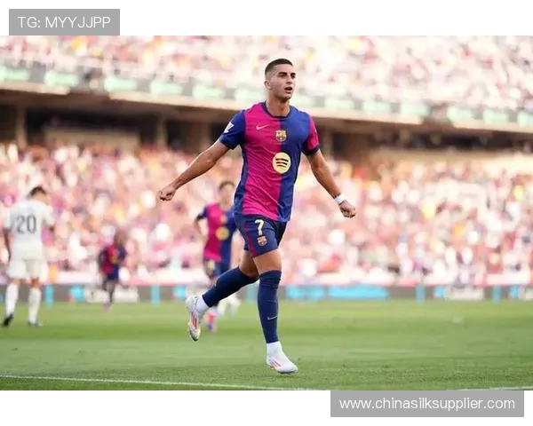 费兰托雷斯：从新星崛起到世界足球舞台的闪耀之旅