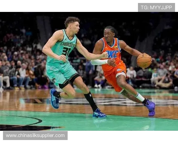 雷霆与黄蜂精彩对决完整视频回放尽享篮球魅力与激情时刻