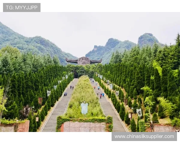 重庆排球队耐力问题引发热议球迷与专家各执己见探讨背后原因 重庆排球队耐力问题引发热议球迷与专家各执己见探讨背后原因