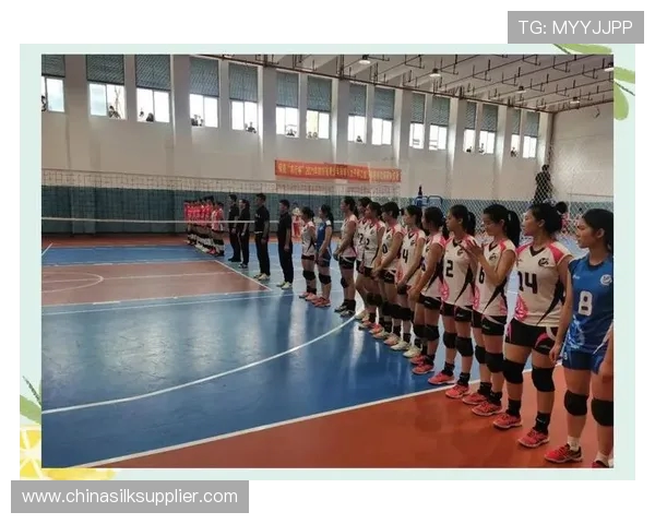 全国锦标赛特别报道重庆排球队拼搏历程与荣耀瞬间回顾