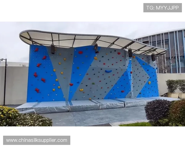 南京攀岩队灵活性分析与提升策略探讨 南京攀岩队灵活性分析与提升策略探讨